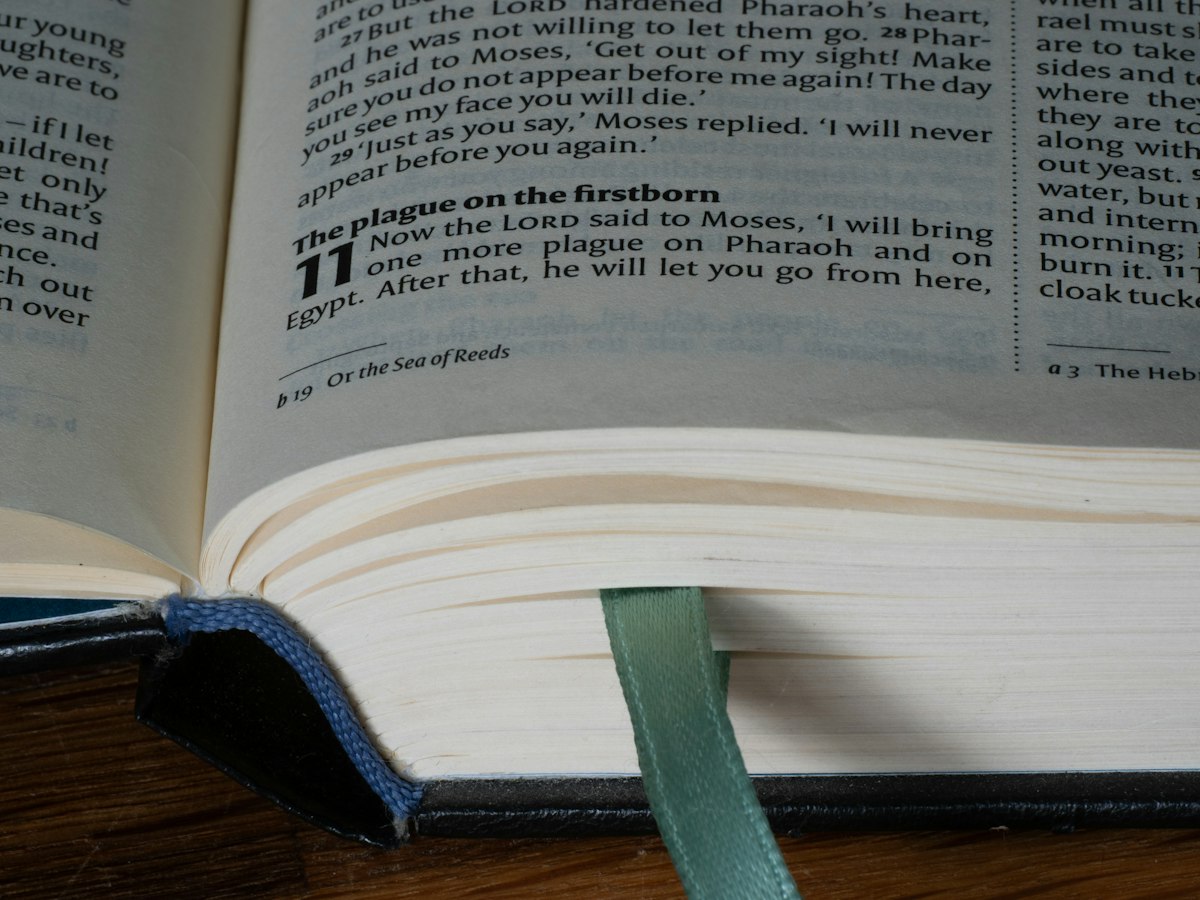 Close-up of an open book with a bookmark