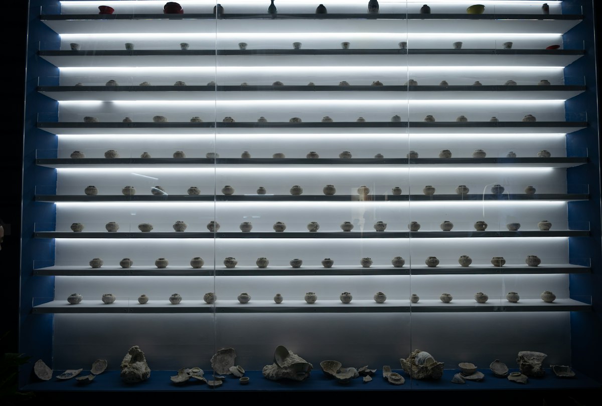 Rows of small objects displayed on illuminated shelves