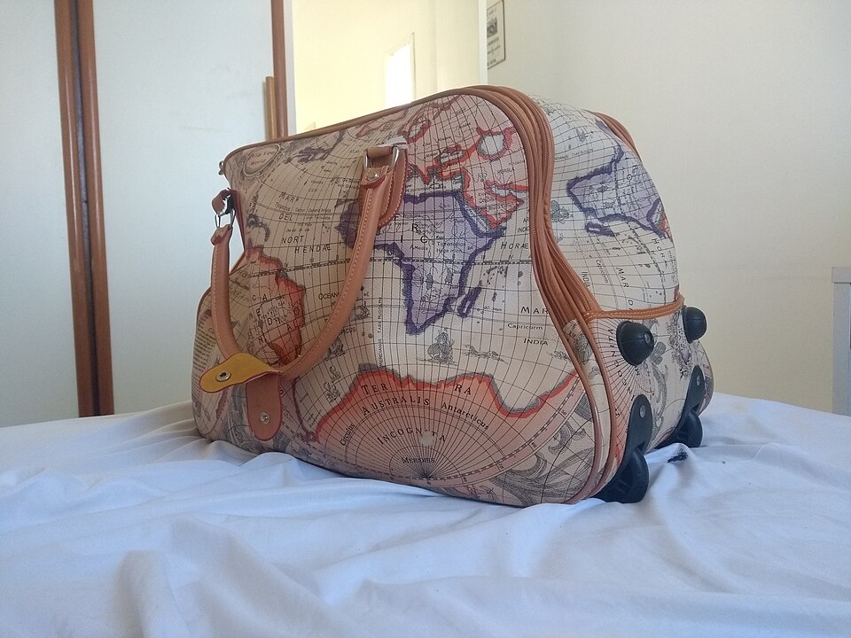 Country print travel bag