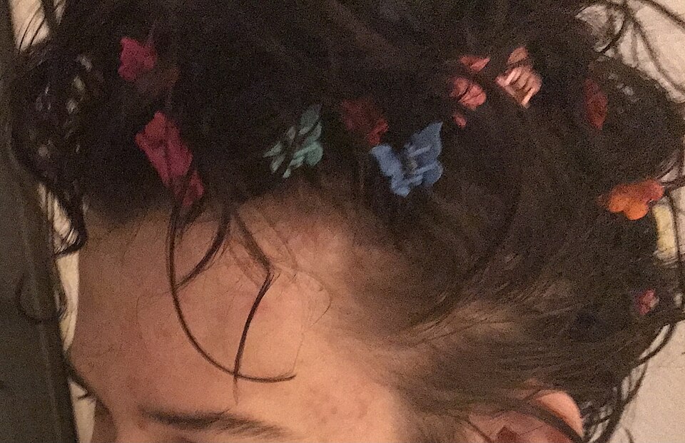 Butterfly hair clips