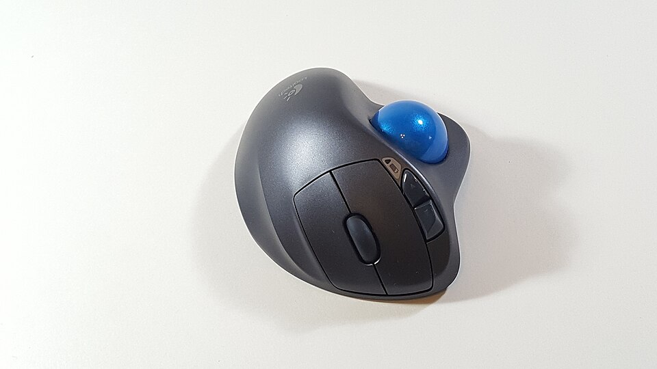 Computer Mouse (41561447025)
