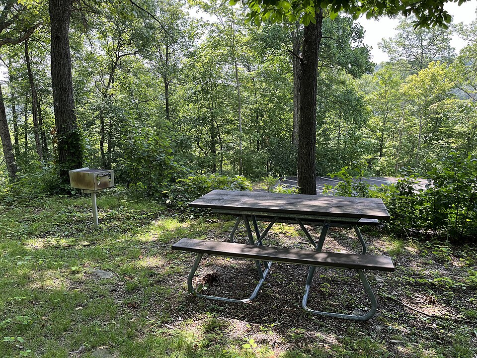 Picnic Table and Grill at Look Rock Picnic Area (8fe649f8-7d7b-44aa-9394-49decdb3b1da)