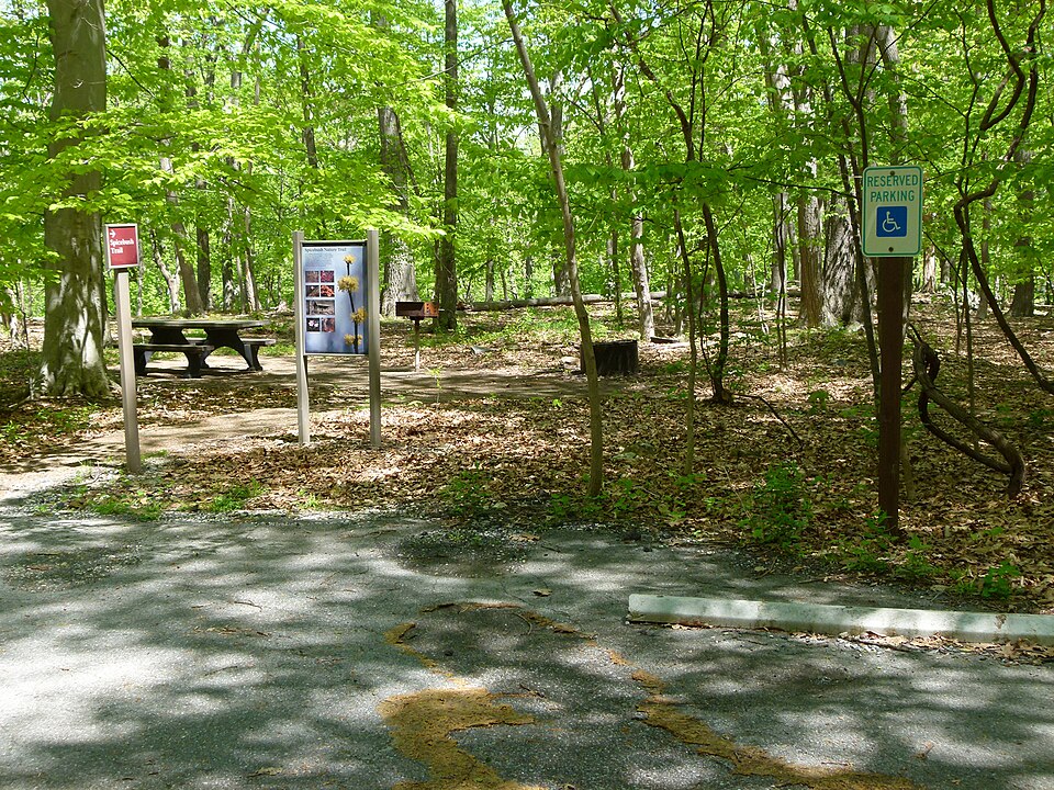 Chestnut Picnic Area path and parking for picnic table with universal access (d9904dce-1dd8-b71c-07b4-85cb4c782f1c)
