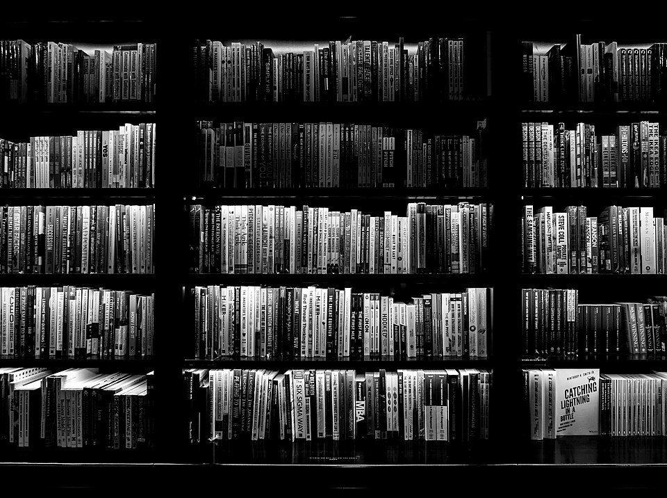 Bookshelf (19404685092)