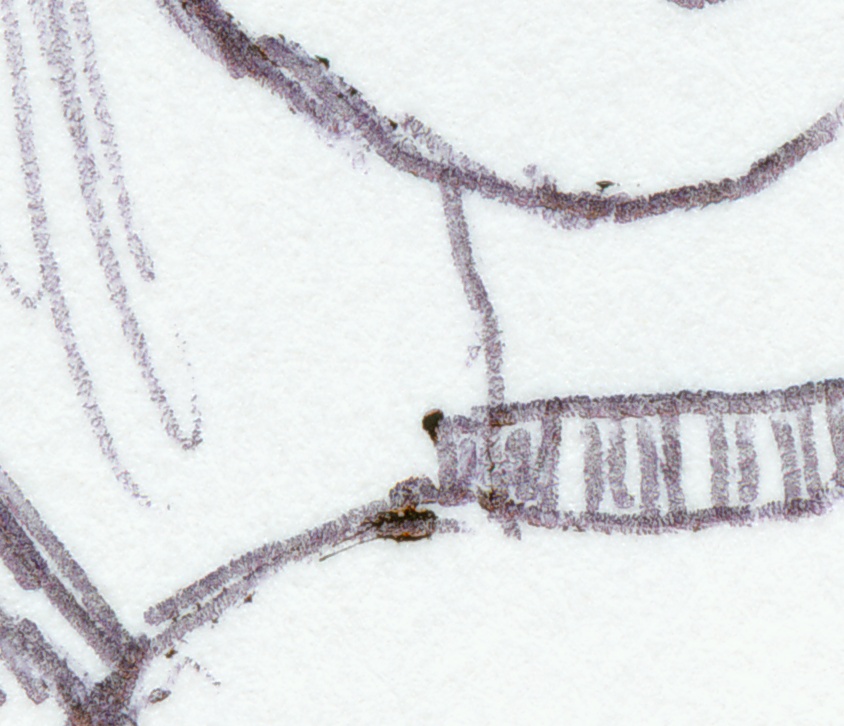 Ballpoint pen marks closeup