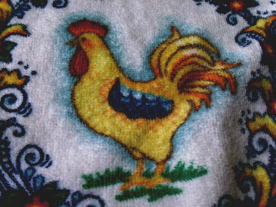 Dish Towel (5289516726)