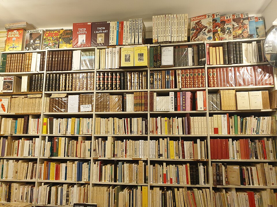 Books in a bookshop at Paris - 2020- 01-17