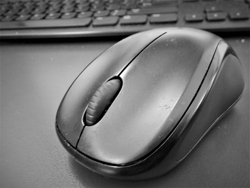 A computer mouse in black and white with a computer keyboard behind it