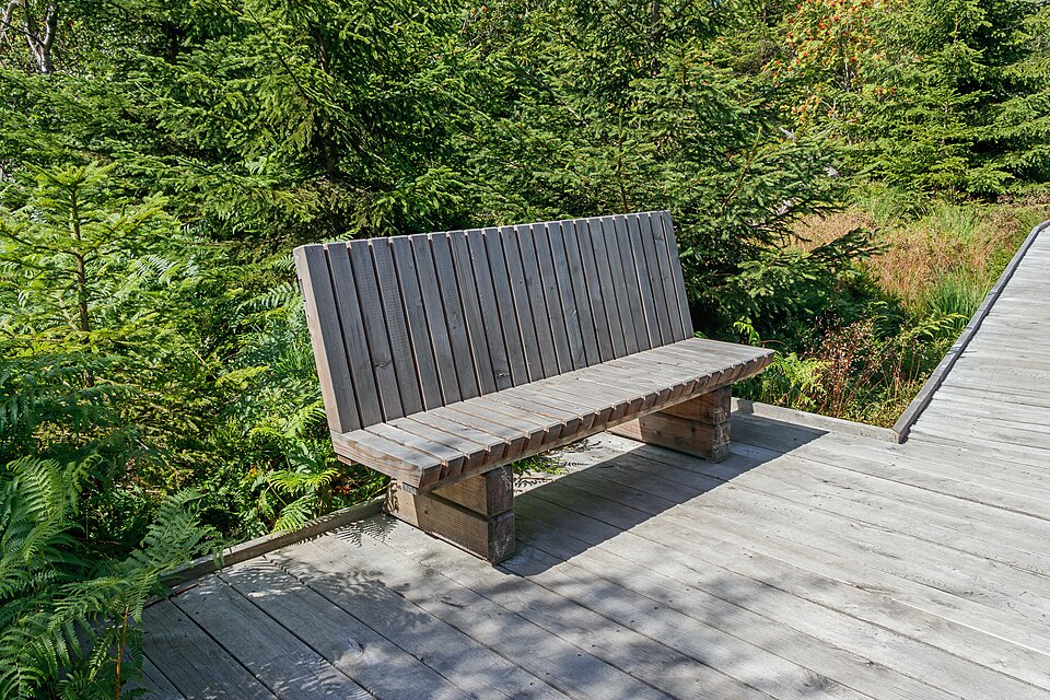 Lothar Path - Black Forest National Park - bench 01
