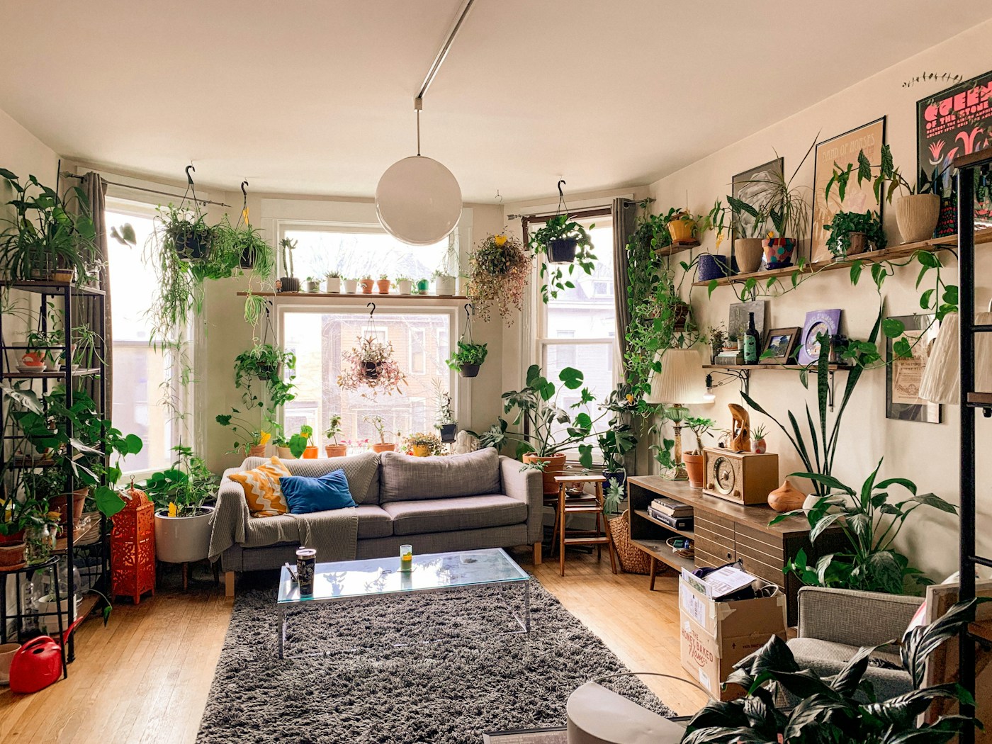 Sunlit living room with houseplants, a sofa, and a coffee table